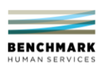 Benchmark Human Services jobs