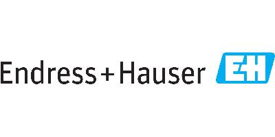 Endress + Hauser jobs