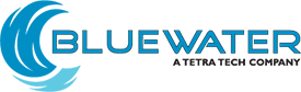 BlueWater Federal Solutions Inc.